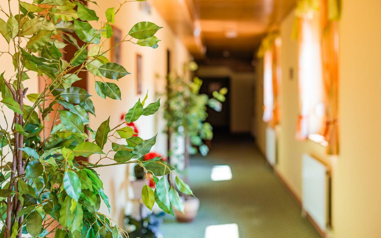 Hotel Garni Steinfeld Wiener Neustadt Eksteriør bilde